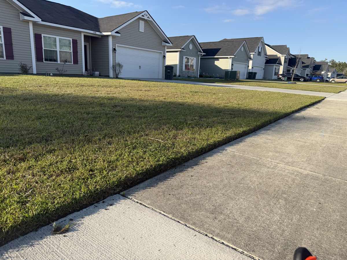 Fall lawn care